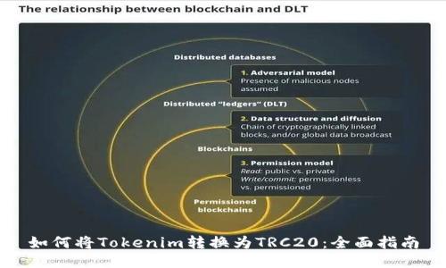 如何将Tokenim转换为TRC20：全面指南