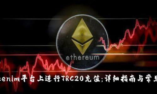 如何在Tokenim平台上进行TRC20充值：详细指南与常见问题解答