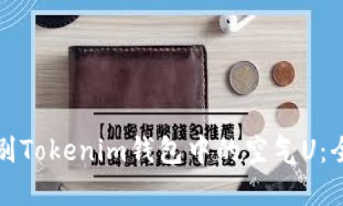 如何识别Tokenim钱包中的空气U：全面指南